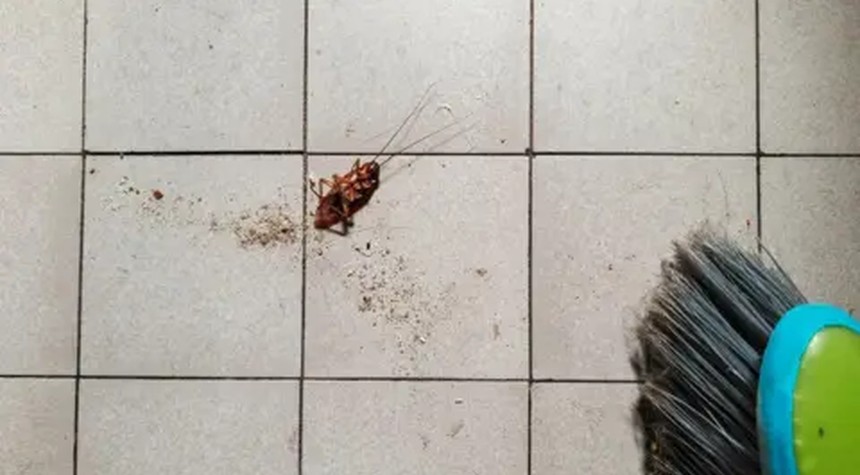Fatal Fire Highlights Dangers of Social Media's 'Cockroach Challenge