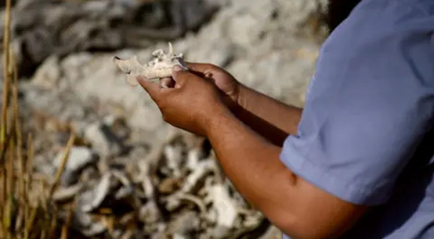 Mass Graves Reveal Dark Legacy of Syrian Civil War