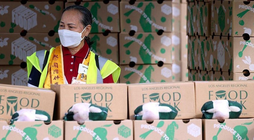 Supreme Court Justice Jackson Temporarily Halts Food Assistance Order