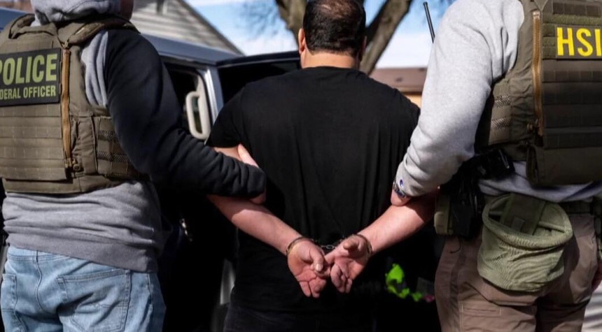 Federal Court Documents Reveal Limited Criminal Histories Among Detained Immigrants