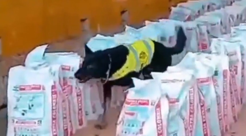 Colombian Authorities Announce Largest Cocaine Bust in Decade Amid US Sanctions