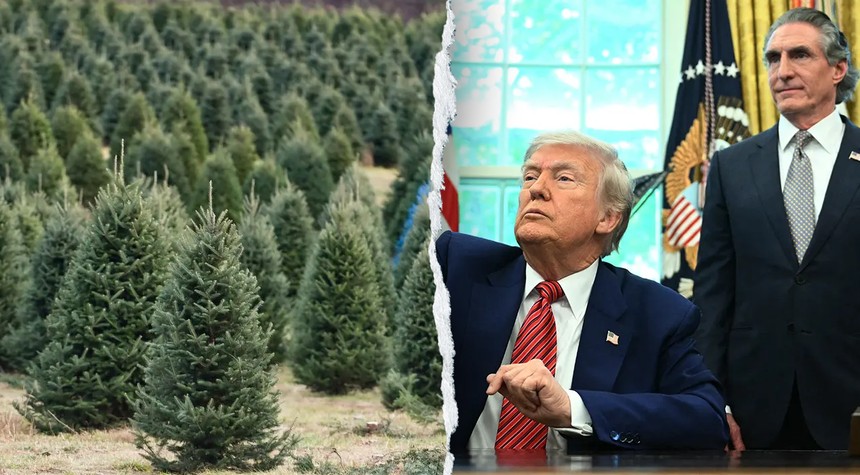 Federal Christmas Tree Permits Drop to One Dollar as Part of Affordability Initiative