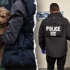 Los Angeles ICE Office Arrests Foreign National Convicted of Arson and Animal Cruelty