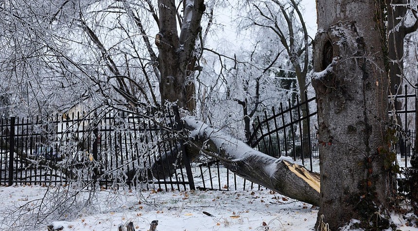 Nine Dead and Millions Without Power as Historic Winter Storm Batters Nation