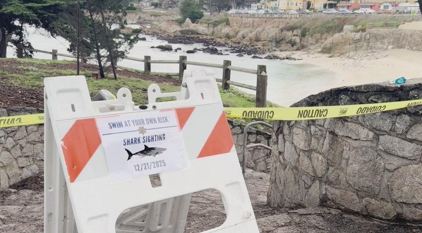 Fatal Shark Attack Claims Life of Minnesota Tourist in U.S. Virgin Islands