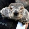 Famous Groundhog Sees Shadow at 140th Groundhog Day Celebration in Pennsylvania