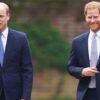 Princess Diana Quietly Prepared Prince Harry as Potential Successor to Throne