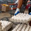 Egg Farmers Partner with Food Banks to Deliver Fresh Protein to Communities Across America