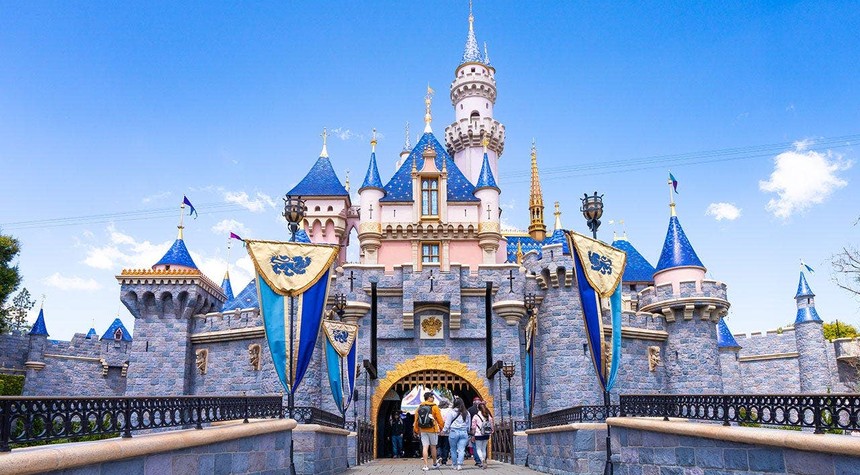 Video Captures Father Allegedly Smuggling Child Into Disneyland to Skip Admission Fee