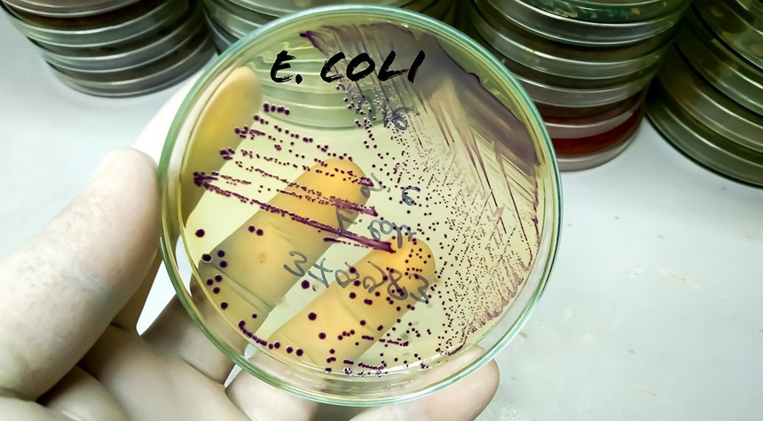 Chinese Researcher Sentenced for Smuggling E. Coli Into United States