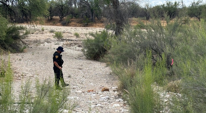 Prehistoric Remains Found Near Guthrie Search Site Highlight Desert's Grim Reality
