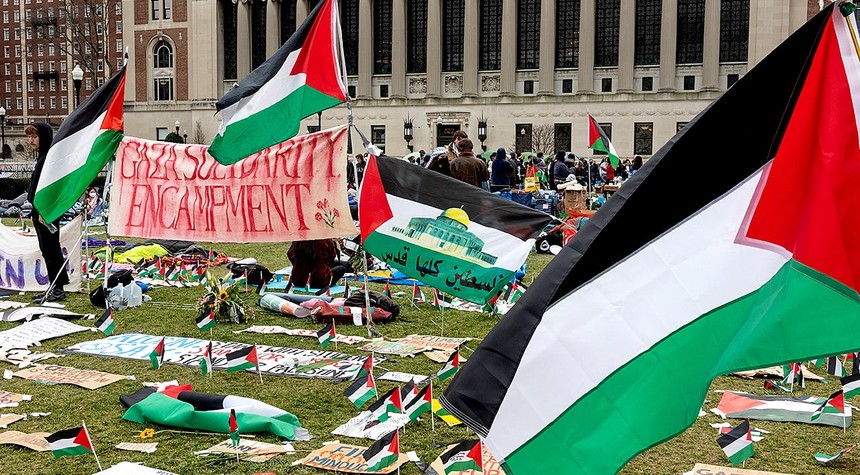 Professor Loses Leadership Position After Comparing Zionism to Cancer