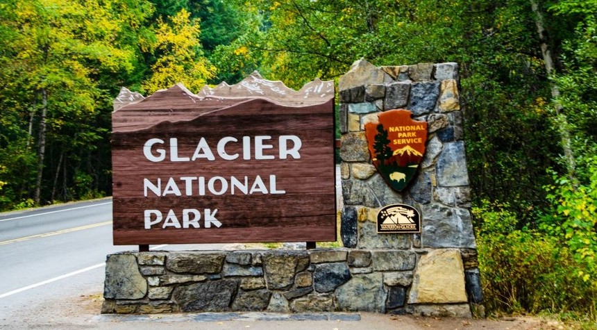 Missing Hiker Found Dead in Glacier National Park After Apparent Bear Attack
