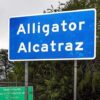 Florida's Alligator Alcatraz Detention Center to Close After Costs Approach $1 Billion