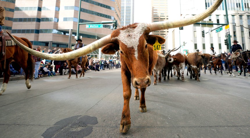 Financial Sector Migration to Texas Accelerates Amid New York Policy Disputes