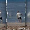 Beachgoers' Video Leads to Arrest in Hawaiian Monk Seal Harassment Case