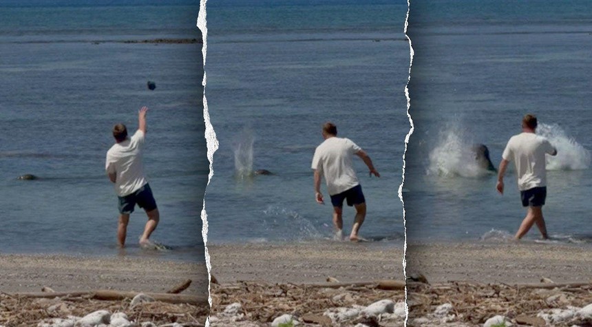 Beachgoers' Video Leads to Arrest in Hawaiian Monk Seal Harassment Case