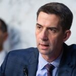 Arkansas Senator Calls for Probe of Foreign Interference in US Artificial Intelligence Policy