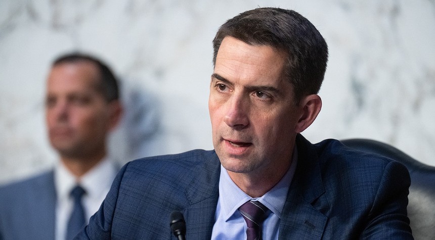 Arkansas Senator Calls for Probe of Foreign Interference in US Artificial Intelligence Policy