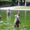 National Park Service Battles Algae Bloom at Lincoln Memorial Reflecting Pool