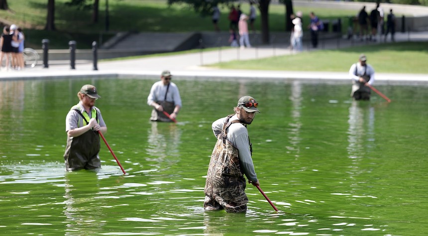 National Park Service Battles Algae Bloom at Lincoln Memorial Reflecting Pool