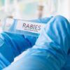 Eleven-Year-Old Canadian Boy Dies from Rabies After Bat Contact at Family Cottage