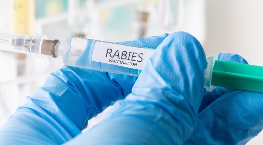 Eleven-Year-Old Canadian Boy Dies from Rabies After Bat Contact at Family Cottage