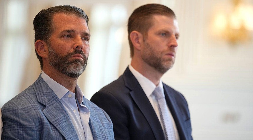 Trump Sons' Investment in Construction Firm Draws Scrutiny Over Rare Earth Minerals Contract