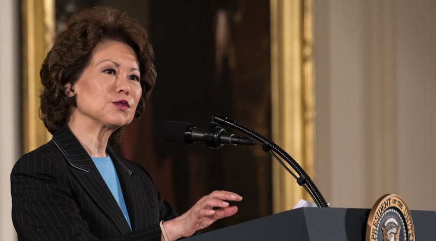 McConnell's Wife Defends Decision to Continue China Trip During His Hospital Stay