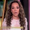View Co-Host Sunny Hostin Invoked Prosecutorial Credentials After Son's Trespassing Stop