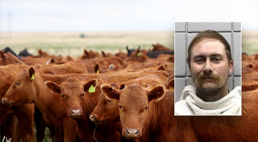 Texas Man Charged with Cattle Theft Totaling Nearly $160,000