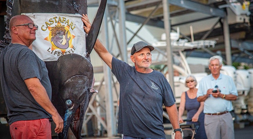 Record Blue Marlin Caught in Massachusetts Waters Nears World Mark