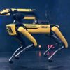 ICE Plans to Deploy Robot Dogs Along Border in $2 Million Contract