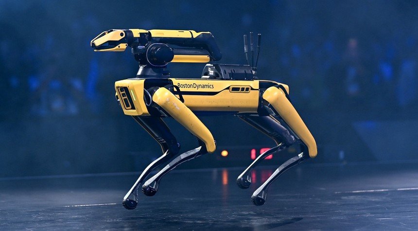 ICE Plans to Deploy Robot Dogs Along Border in $2 Million Contract
