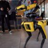ICE Plans Two Million Dollar Purchase of Robotic Dogs for Immigration Operations