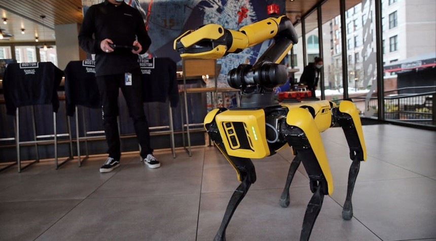 ICE Plans Two Million Dollar Purchase of Robotic Dogs for Immigration Operations
