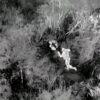 Orange County Animal Control Employs Drone Technology to Rescue Lost Pets