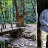 Search Teams Expand Efforts for Illinois Man Missing in Great Smoky Mountains