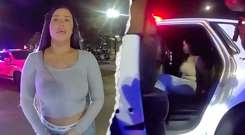 Traffic Stop in Tampa Leads to Discovery of Dozen Fake Identification Cards