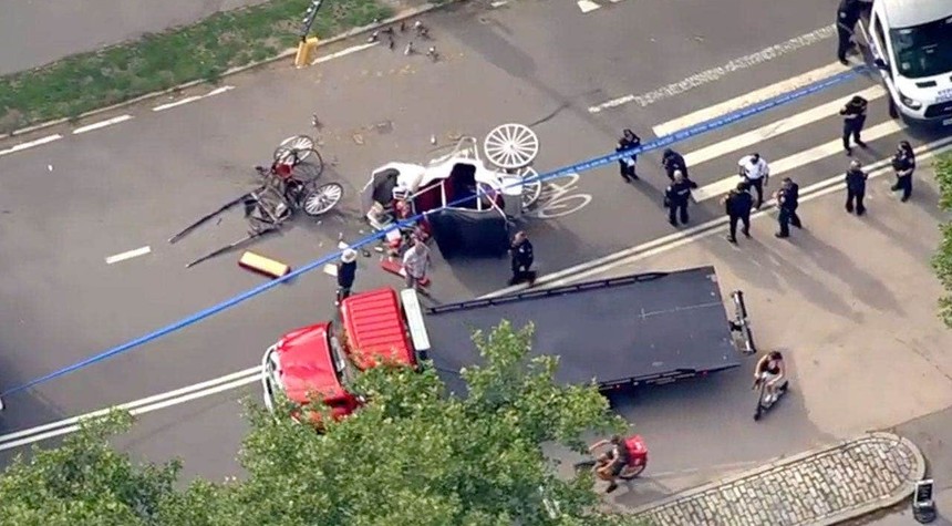 Central Park Carriage Tragedy Leads to Massive Claim Against City Officials