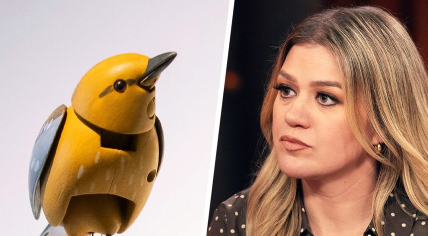 Brooklyn Shop Sets $15 Million Price Tag for Bird at Center of Kelly Clarkson Dispute