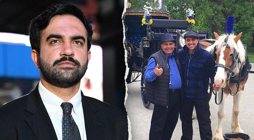 Horse Carriage Operators Challenge Mayor's Plan to End Manhattan Business