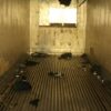 Guatemalan National Sentenced to 30 Years for Human Smuggling Operation That Killed 53