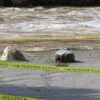 Southwest Flood Emergency Continues as Rivers Surge and Residents Evacuate